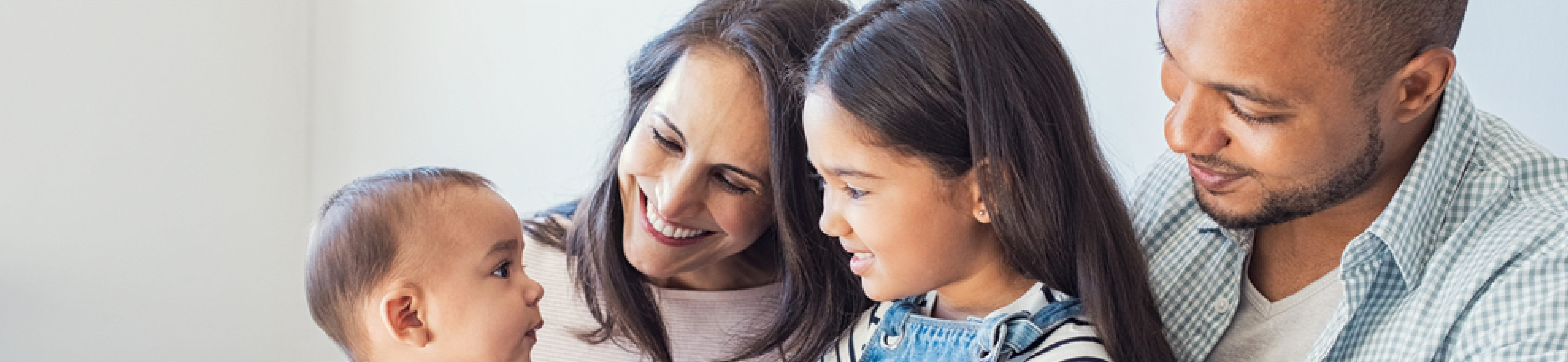 Family Law Header