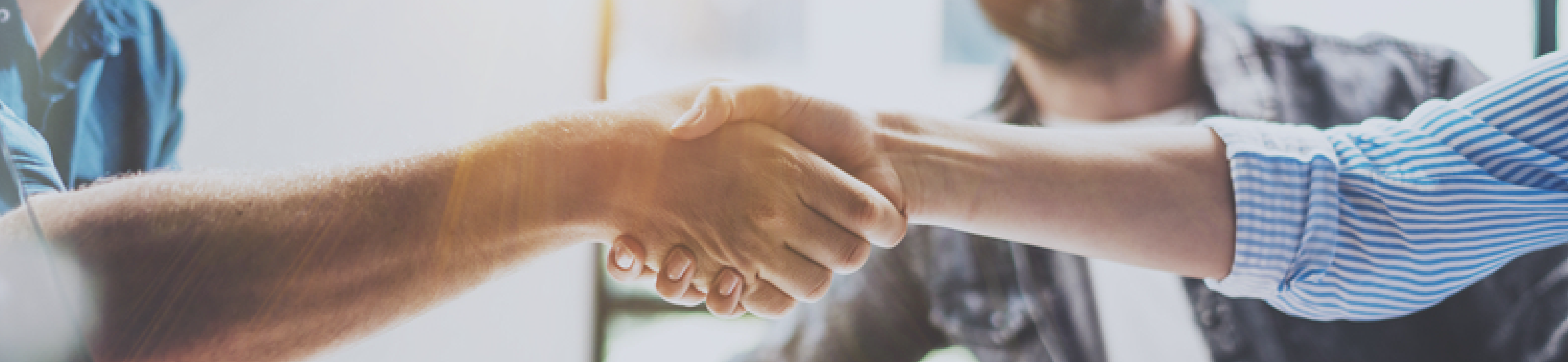business-partnerships_header