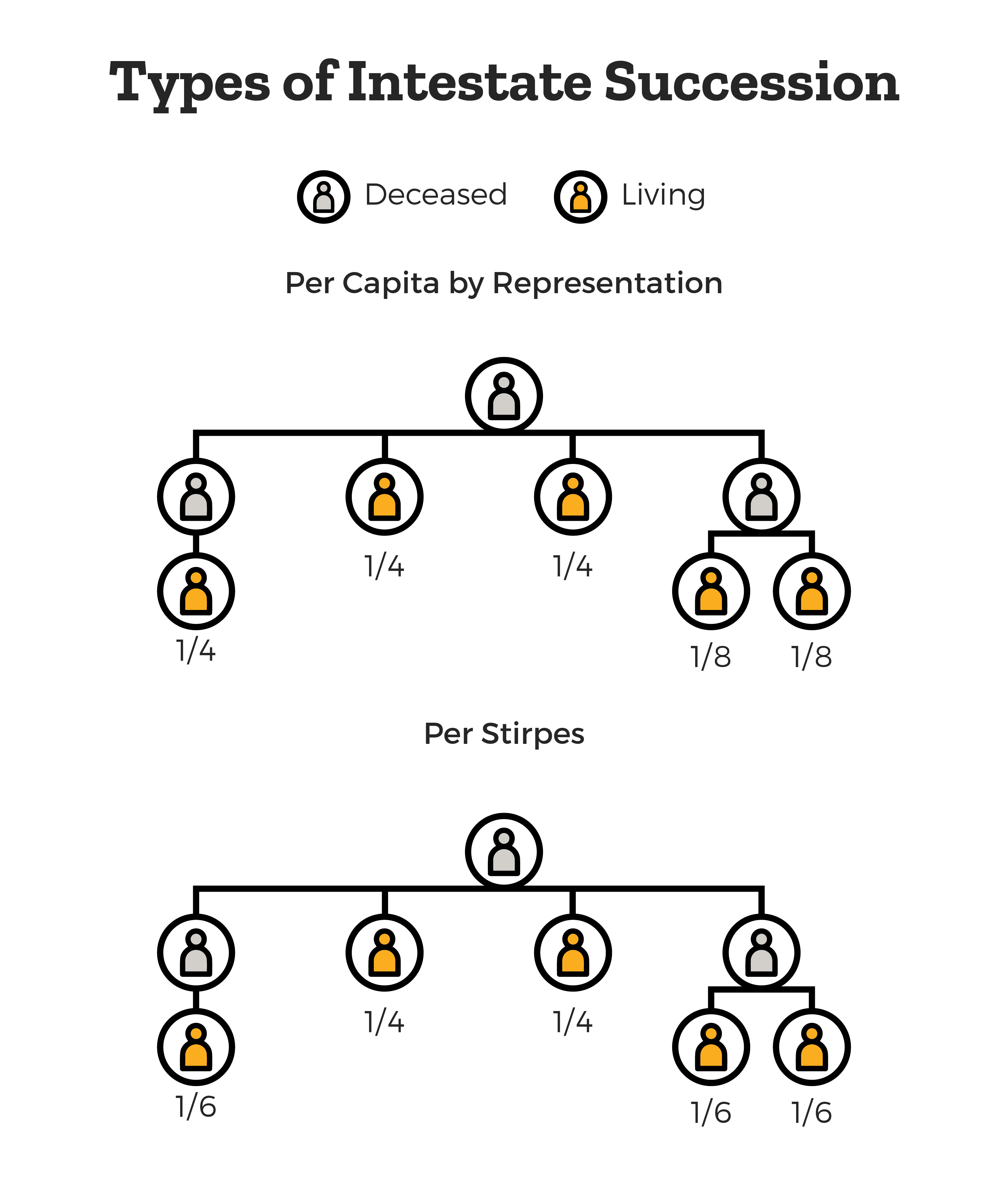 This image visualizes types of intestate succession and shows the distributions of per capita by representation and per stirpes. 