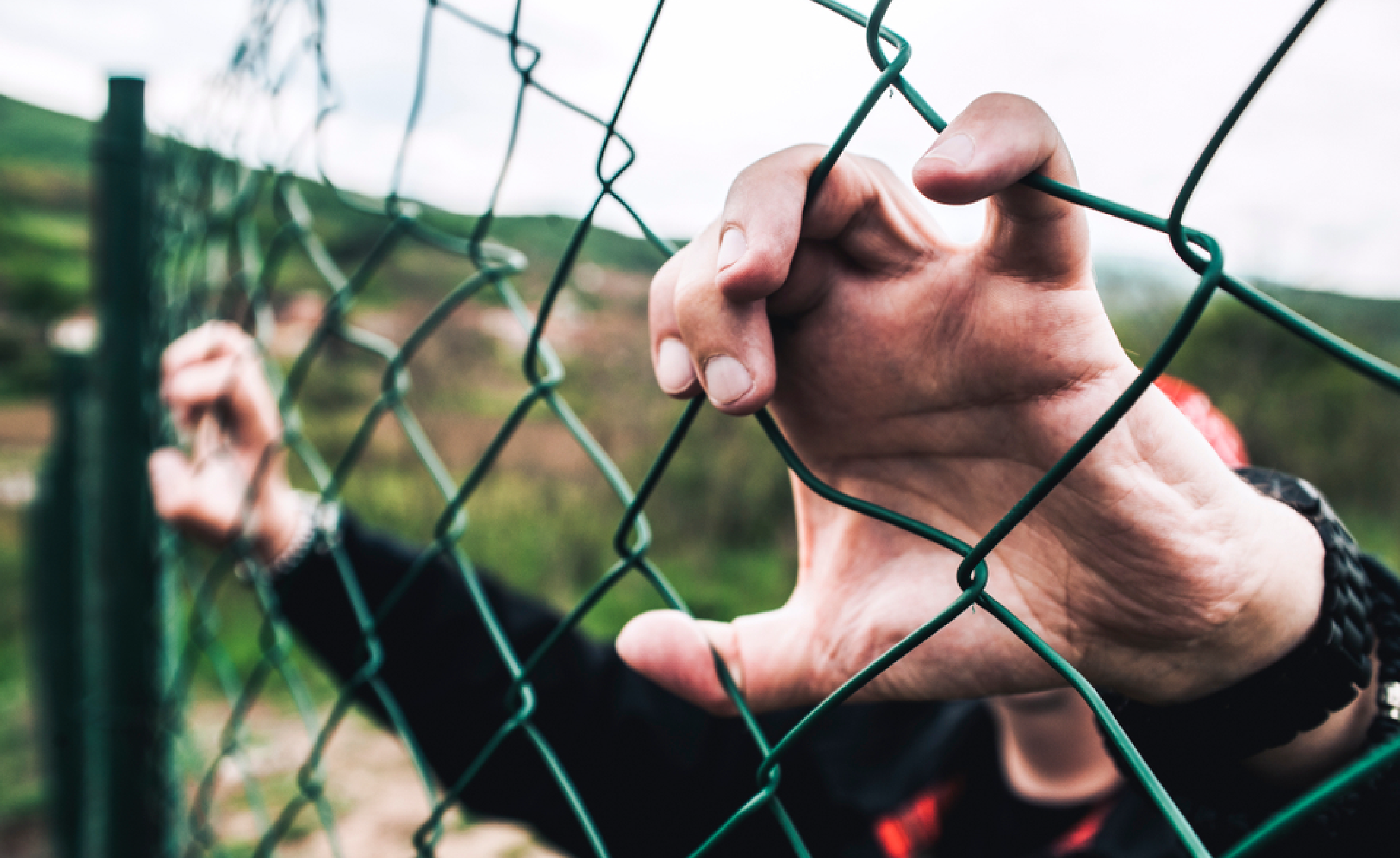 mass-migration_featured