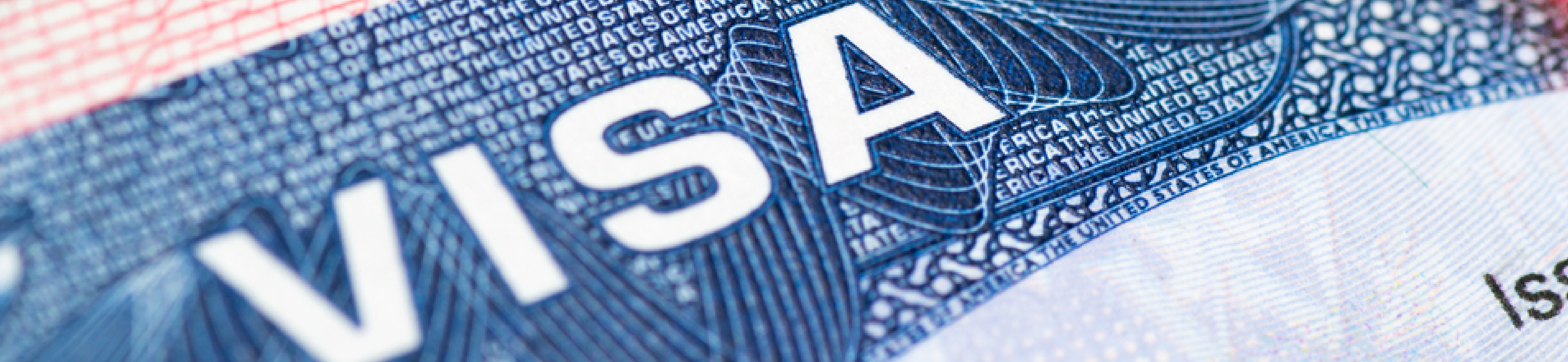 visa-document
